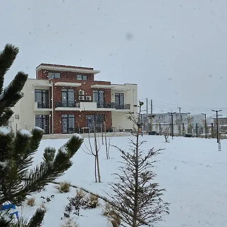 招待所 Pensiunea Livada 3*