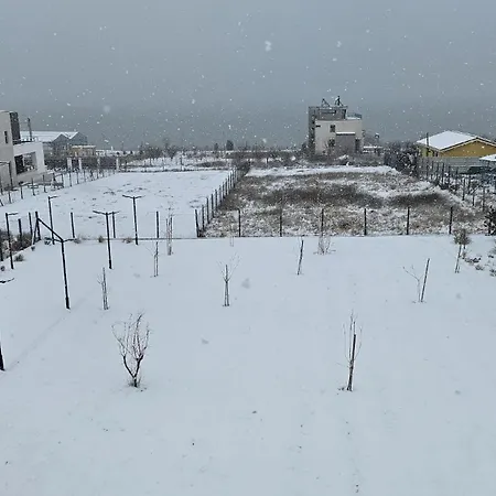 招待所 Pensiunea Livada 3*