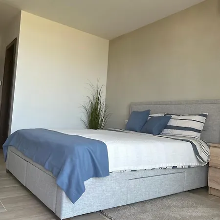 招待所 Pensiunea Livada 泰基尔吉奥尔