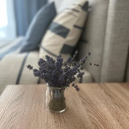 Pensiunea Livada 泰基尔吉奥尔