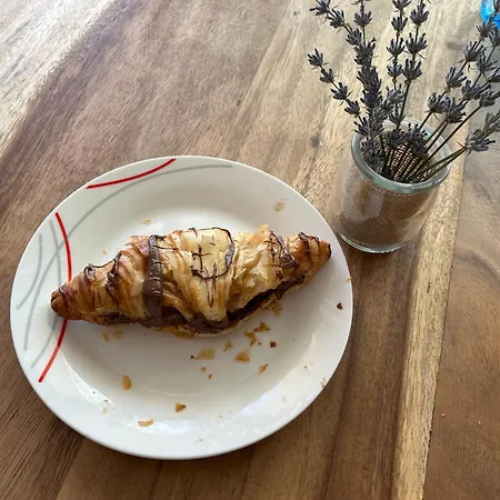 招待所 Pensiunea Livada 泰基尔吉奥尔