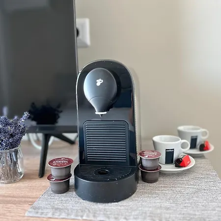 招待所 Pensiunea Livada 泰基尔吉奥尔